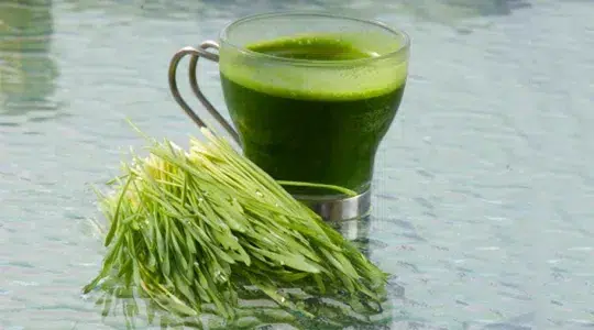 jus-d-herbe-d-orge-super-aliment