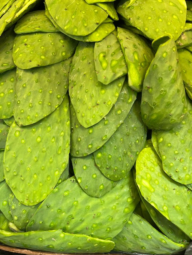 nopal-ramitos-terroir-algerie